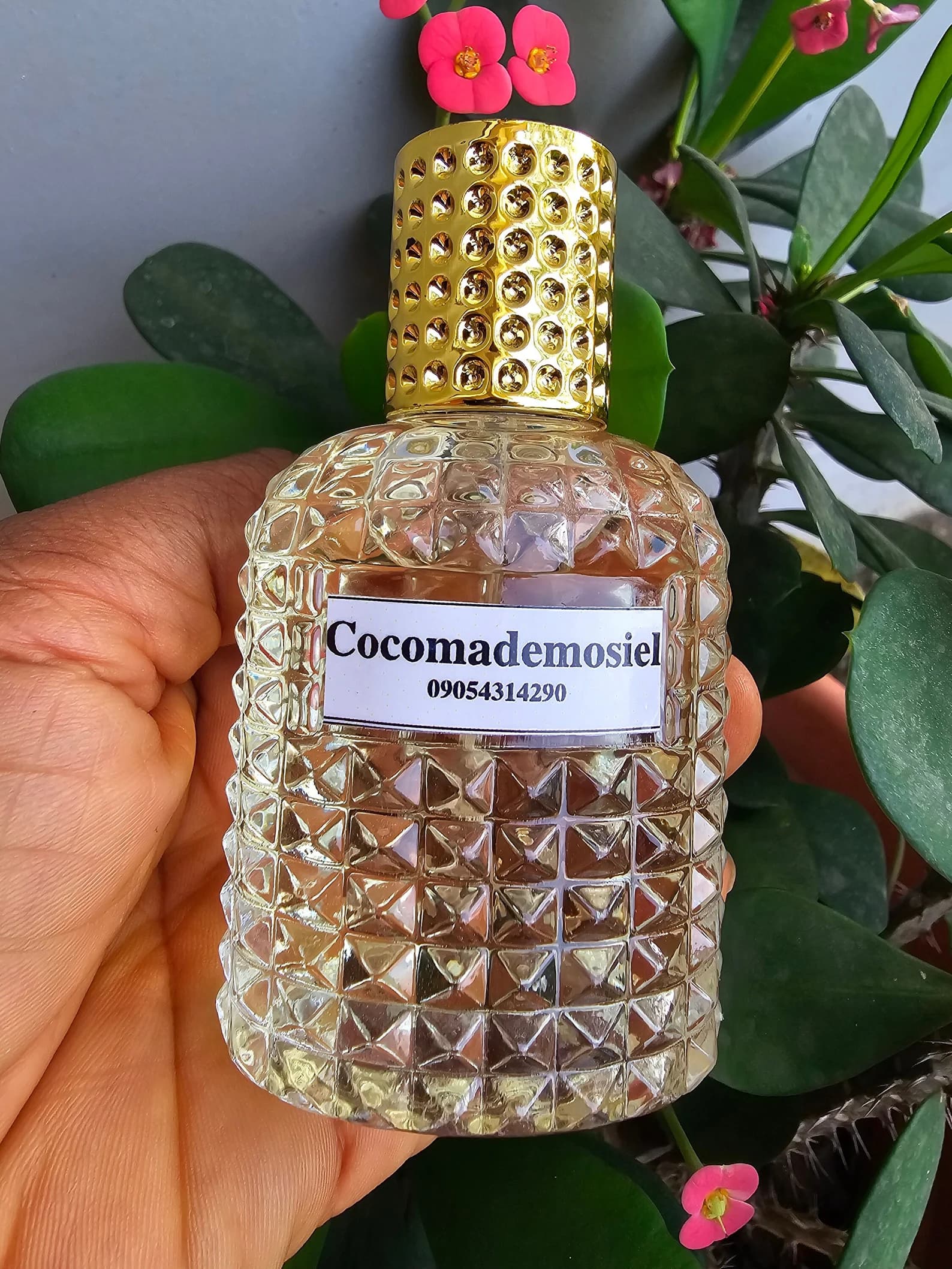 BCubeclassics Cocomademosiel - Image 1