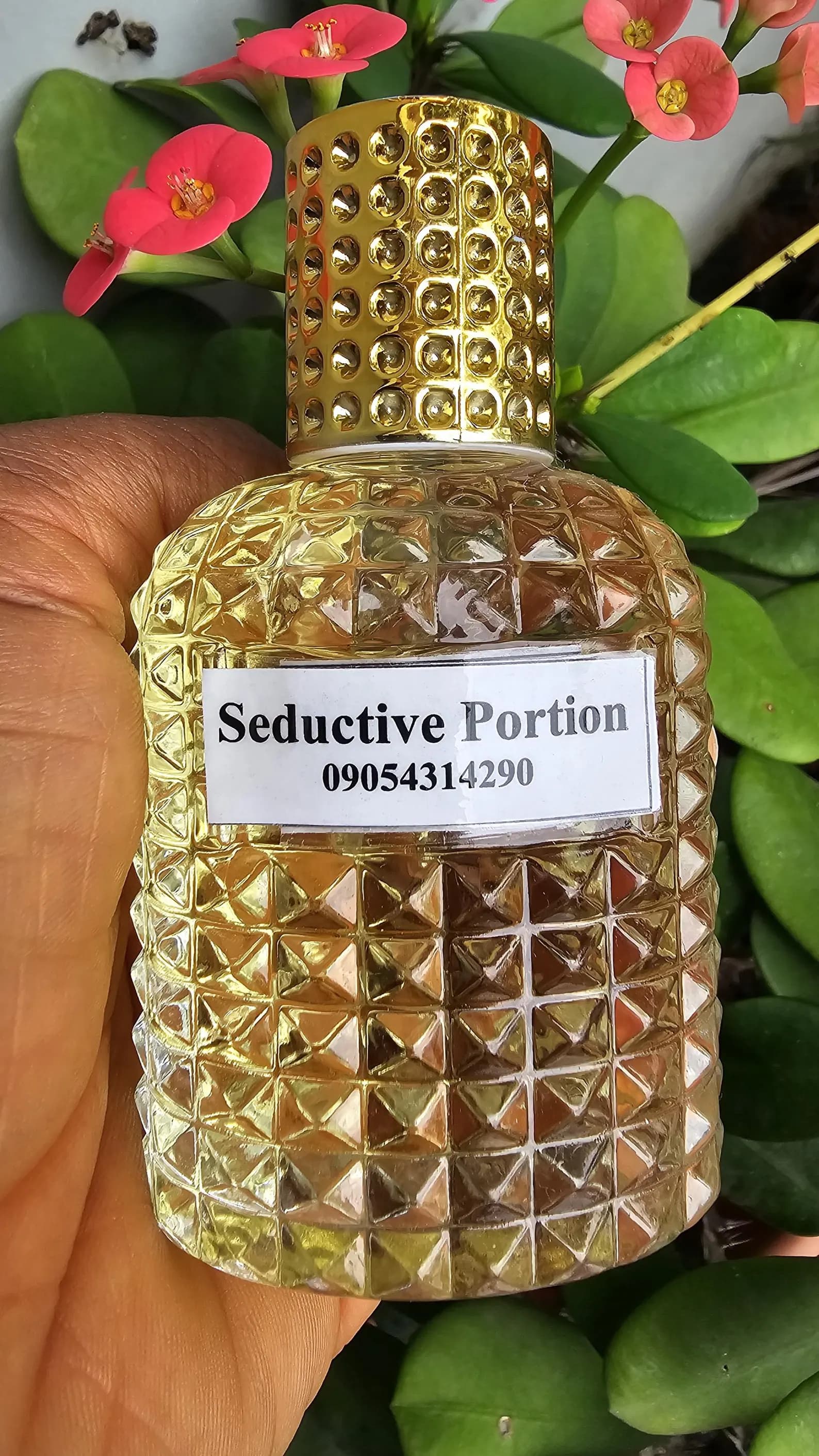 BCubeclassics Seductive Potion - Image 1